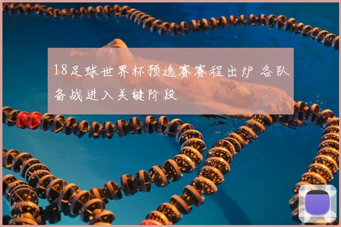 18足球世界杯预选赛赛程出炉 各队备战进入关键阶段