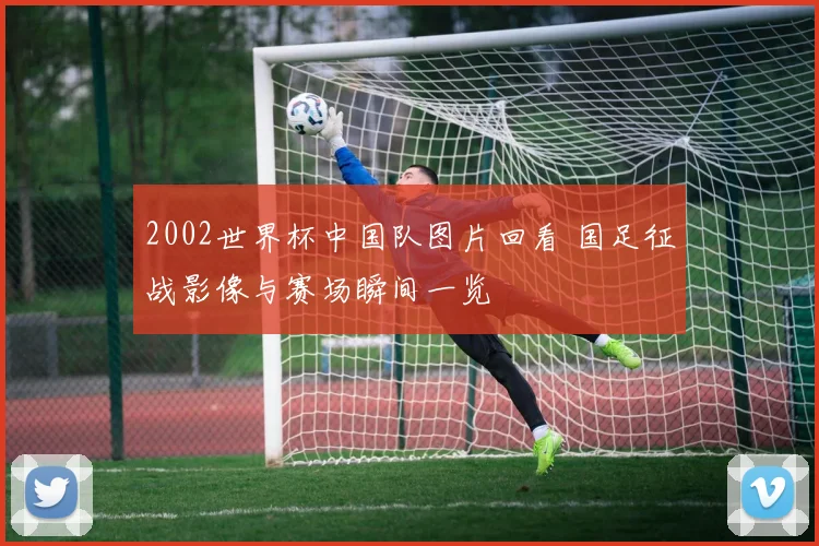 2002世界杯中国队图片回看 国足征战影像与赛场瞬间一览