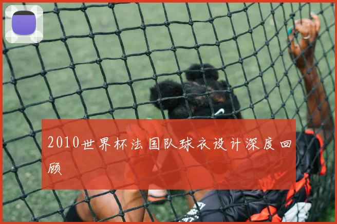 2010世界杯法国队球衣设计深度回顾