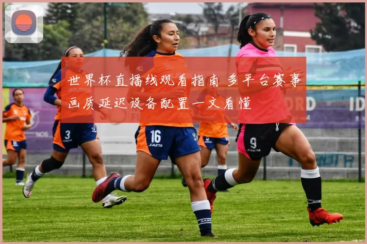 世界杯直播线观看指南 多平台赛事画质延迟设备配置一文看懂