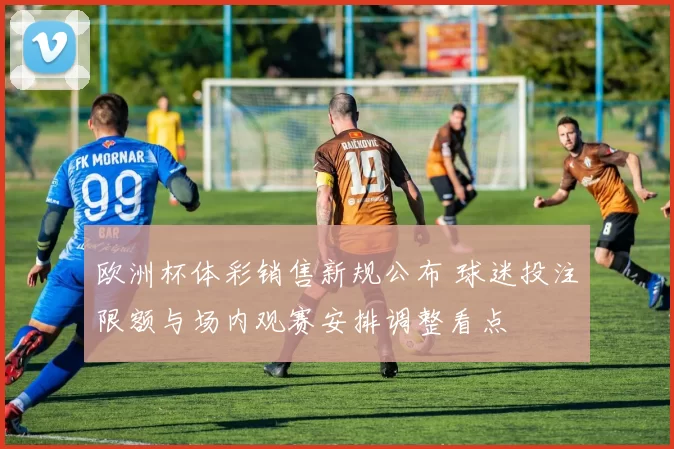 欧洲杯体彩销售新规公布 球迷投注限额与场内观赛安排调整看点