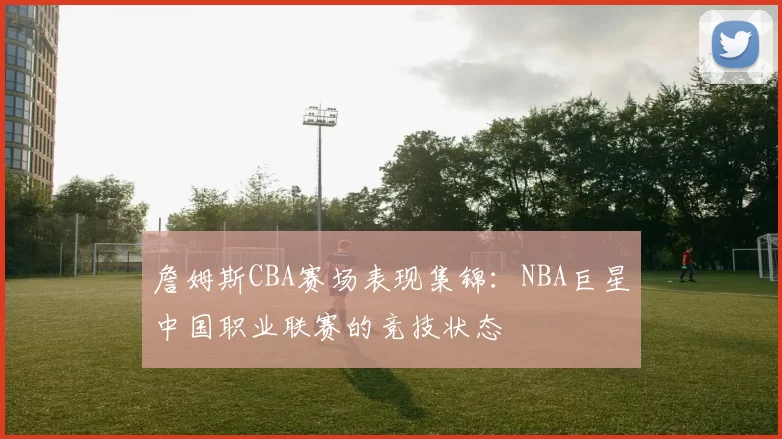 詹姆斯CBA赛场表现集锦:NBA巨星中国职业联赛的竞技状态