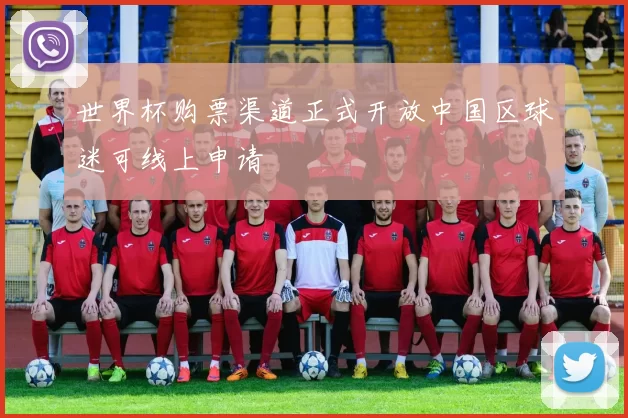 世界杯购票渠道正式开放中国区球迷可线上申请